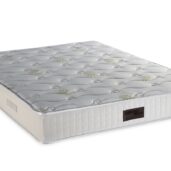 718 Filoxenia aloe vera cotton hr plus coco